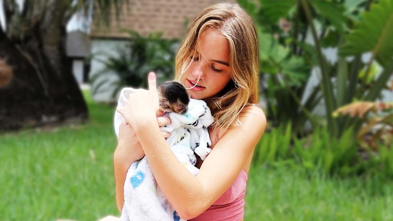 The cutest baby monkey in the world